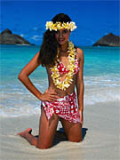 cc_br_destination_hi_2